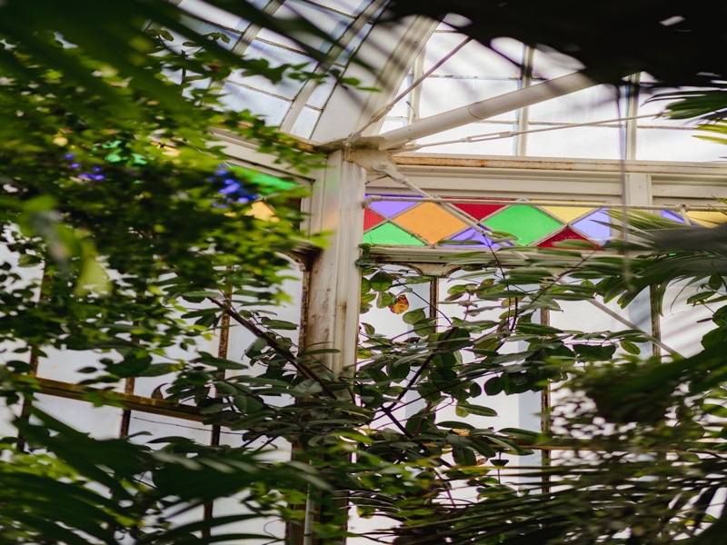 Conservatory Cleaning in Portsmouth & Hampshire